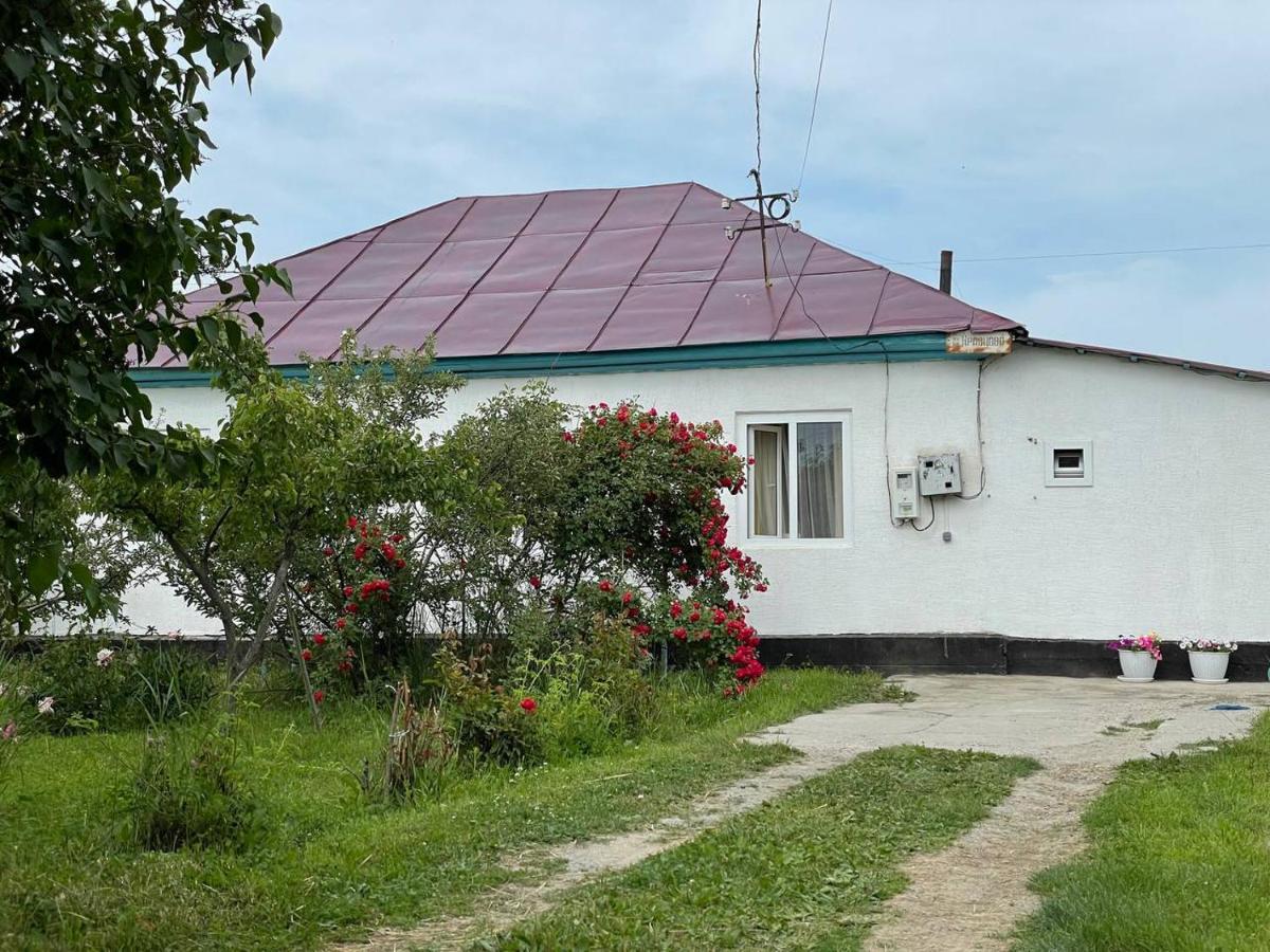 Hotel By River 246 Karakol Exteriér fotografie